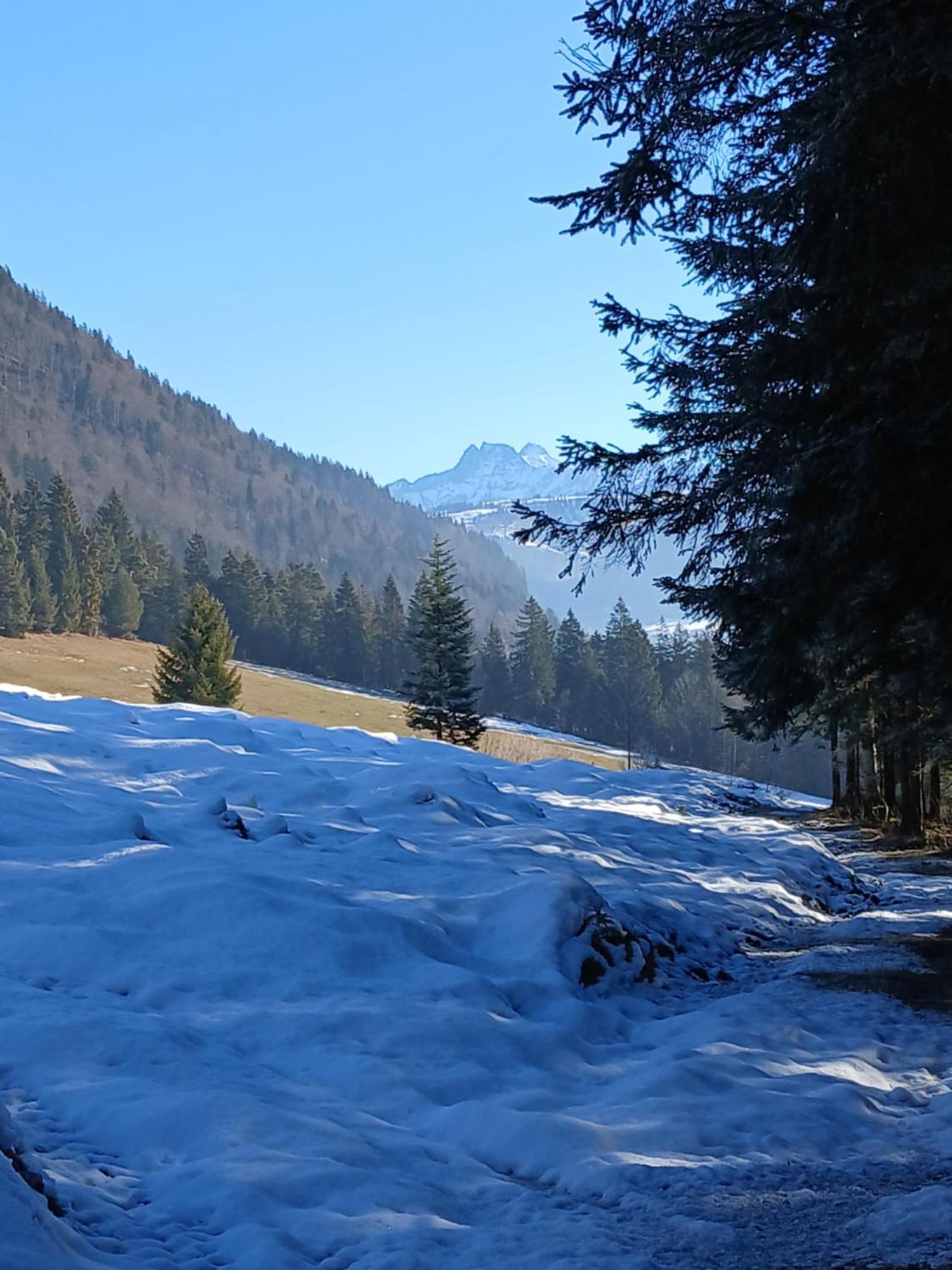 Ferienwohnung Maurerhof St. Johann in Tirol Kültér fotó